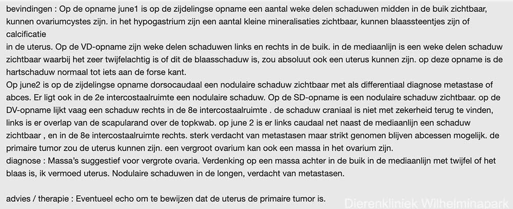 rontgenfoto's van June